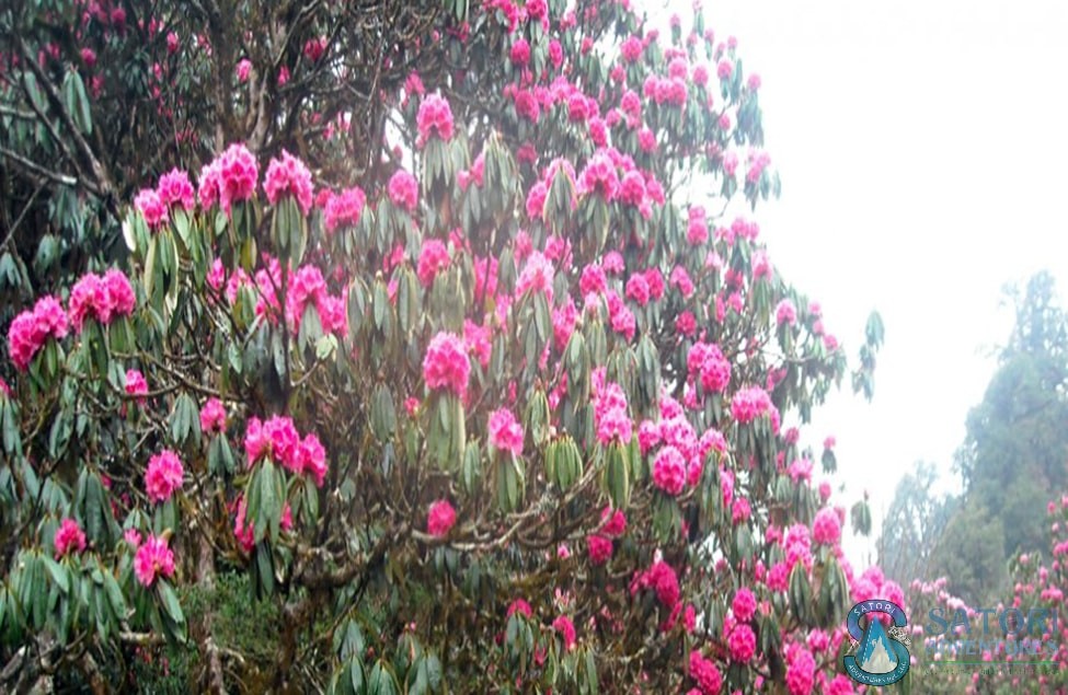 Annapurna Excurision