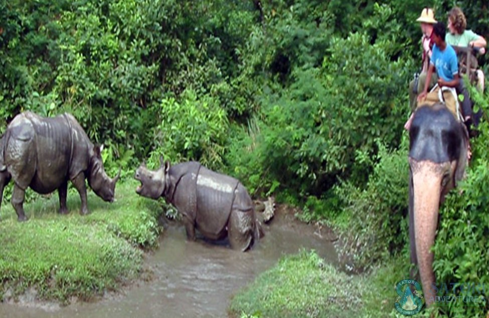annapurna view trek rafting jungle safari and mountain flight tour55