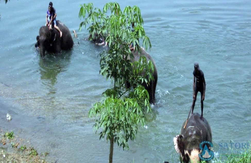 Bardiya Jungle Safari