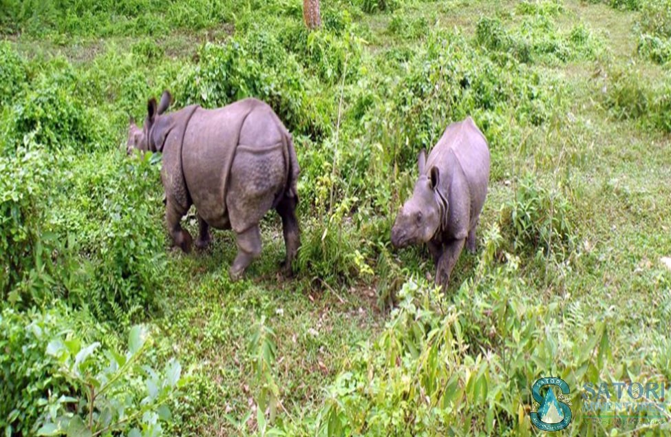 Bardiya Jungle Safari