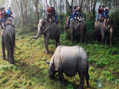 annapurna bc trek pokhara jungle safari and mountin fligt tour