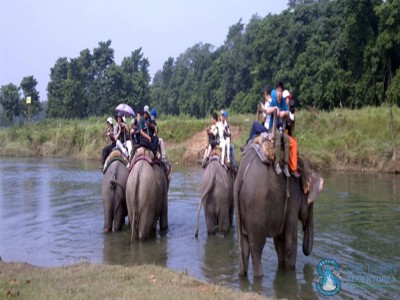 Chitwan National park