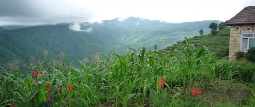 chisapani nagarkot trek93