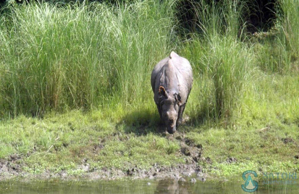 Everest flight-jungle safari- pokhara tour