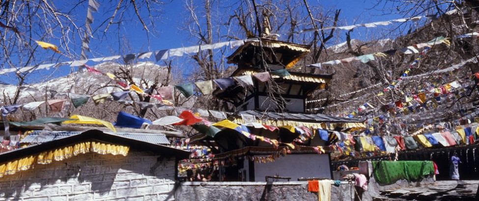 fly in trek out trek84