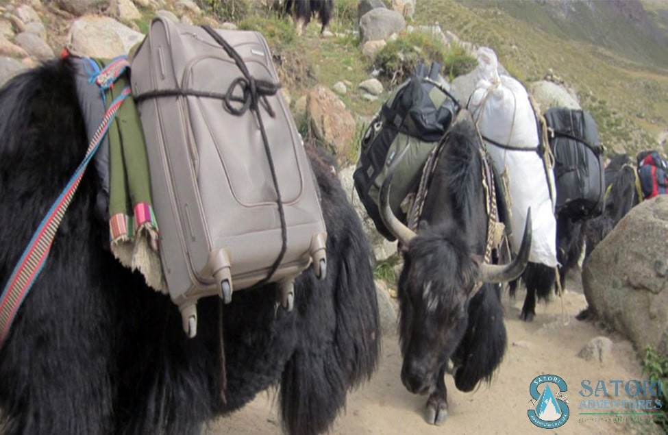 Lhasa Everest Base Camp Tour